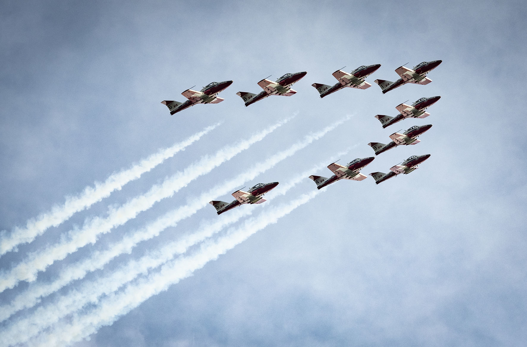 Snowbirds